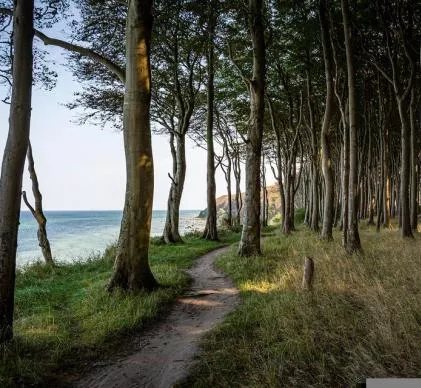 TP 4983 Beau Camping Ile De France