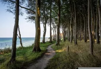 TP 4983 Beau Camping Ile De France