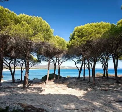 JR 5118 - LANDES PROCHE OCEAN