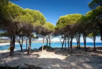 JR 5118 - LANDES PROCHE OCEAN