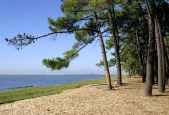 MN 5119 - CAMPING 3 ETOILES + MAISON