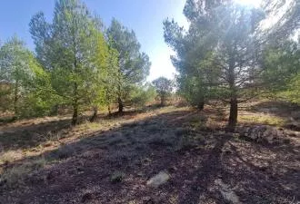 Venta de Camping en Chirivel Granada