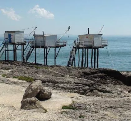 JR 5173 - CHARENTE-MARITIME 10MN DE LA PLAGE