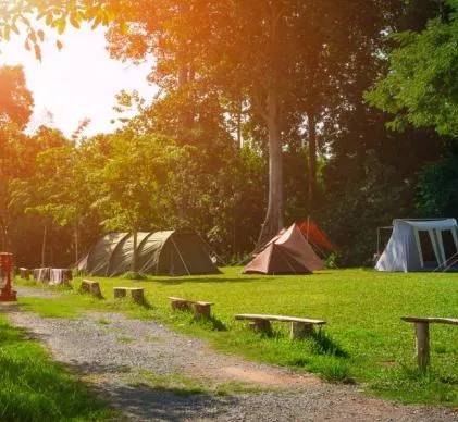 JR 5176 - NIEVRE BEAU CAMPING
