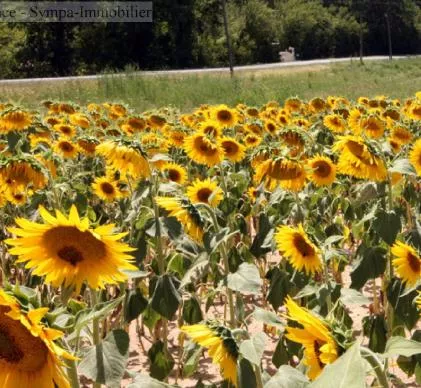 À vendre magnifique camping en occitanie nichée dans un cadre naturel exceptionnel, cette proprié