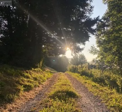 vente d'un très beau camping sur 12 hectares dans le parc naturel régional du haut-languedocen exclu