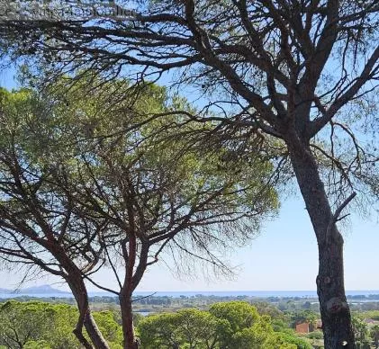 camping sur la cote d'azur, site touristique de 1er ordre