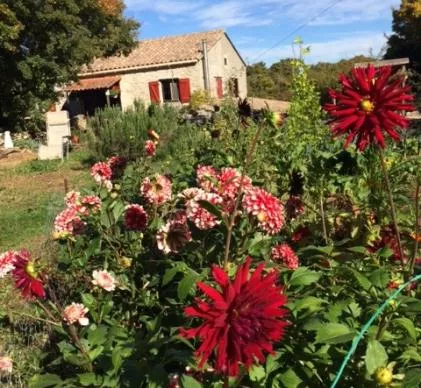 vendu par inter-francele plus beau camping dans l'hérault à une heure de la mer méditerranée, situé 