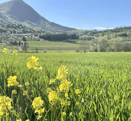 À vendre superbe camping au cur de la drÔme provenÇaleun cadre authentique, au milieu des champs de 