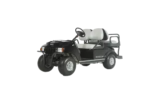 Véhicule utilitaire Club Car Carryall 100