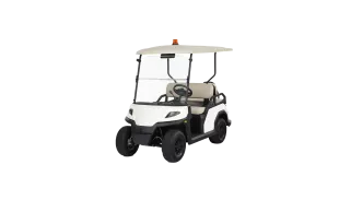 Voiturette Toro Vista 