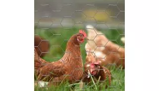 Grillage rouleau agricole | triple torsion