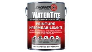 Zinsser WaterTite