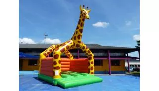 Girafe avec murs
