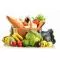Recherchons gerants epicerie dans camping